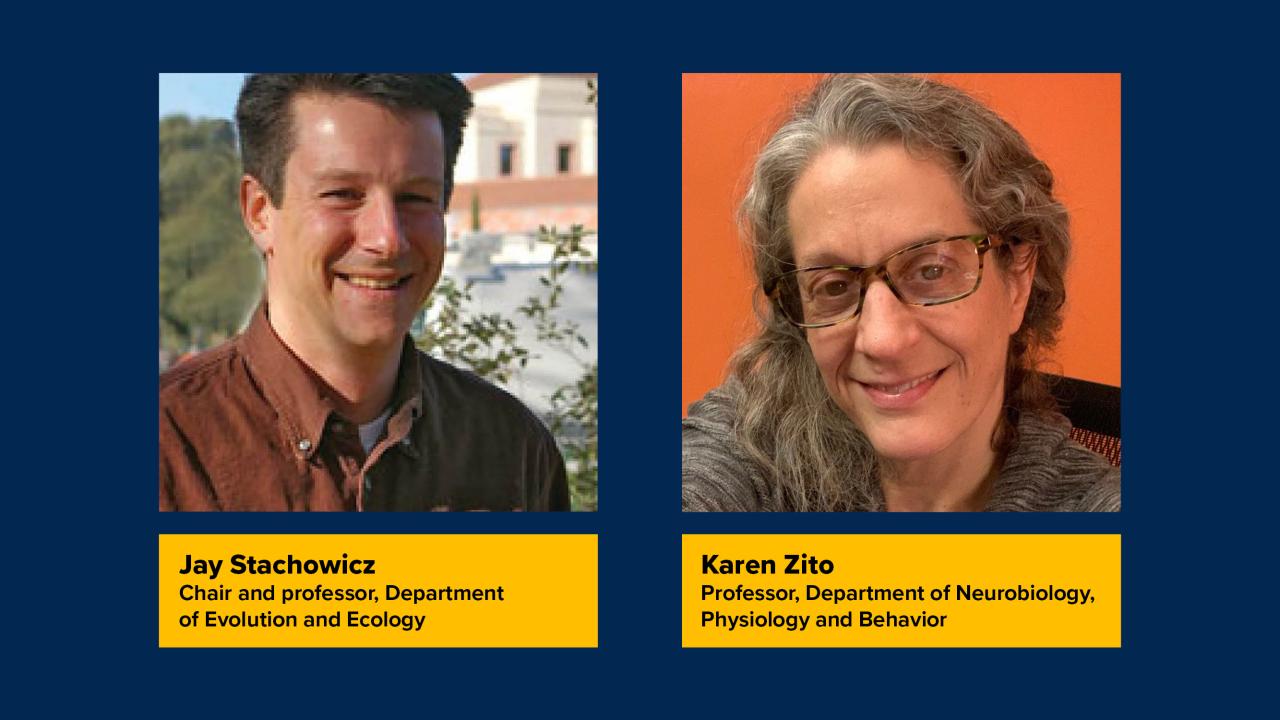 9 Elected As AAAS Fellows, 2 From CBS | College Of Biological Sciences